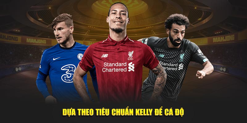 Dựa theo tiêu chuẩn Kelly trong cá độ